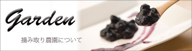 摘み取り農園についてへ