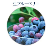 生ブルーベリー